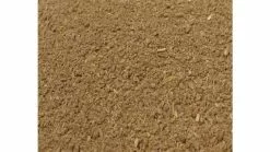 Evezet Koreander Meel 2.5kg