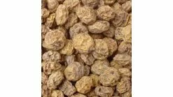 Hertog Tijgernoten Groot 25 KG